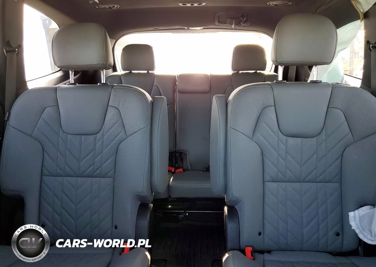 2024 Kia Telluride Sx X-Pro VIN:5XYP5DGC8RG433130 - 10