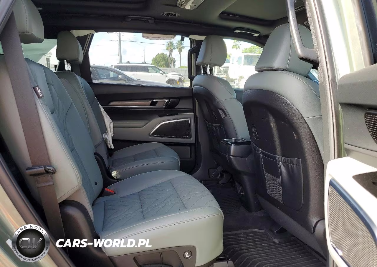 2024 Kia Telluride Sx X-Pro VIN:5XYP5DGC8RG433130 - 11