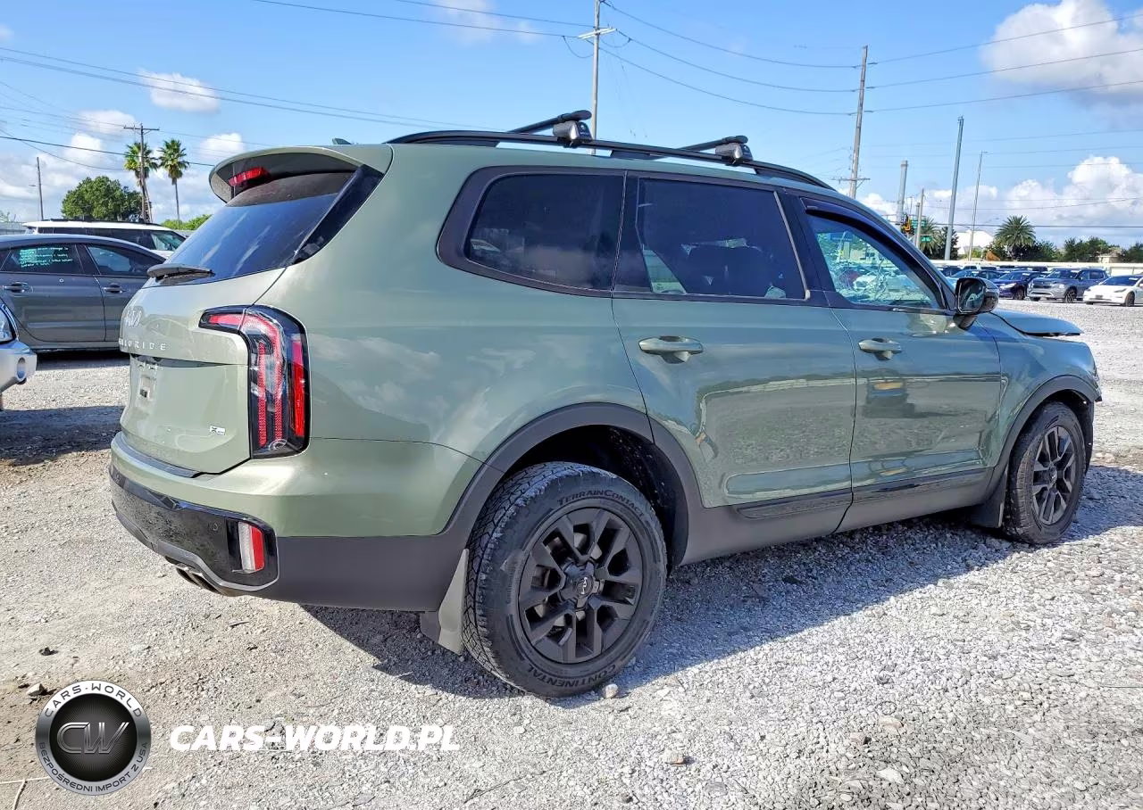 2024 Kia Telluride Sx X-Pro VIN:5XYP5DGC8RG433130 - 3