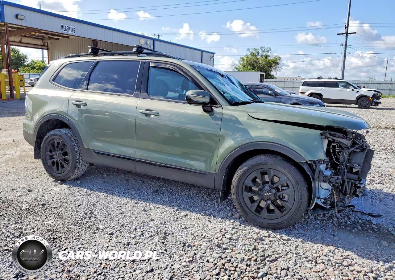 2024 Kia Telluride Sx X-Pro VIN:5XYP5DGC8RG433130 - 4