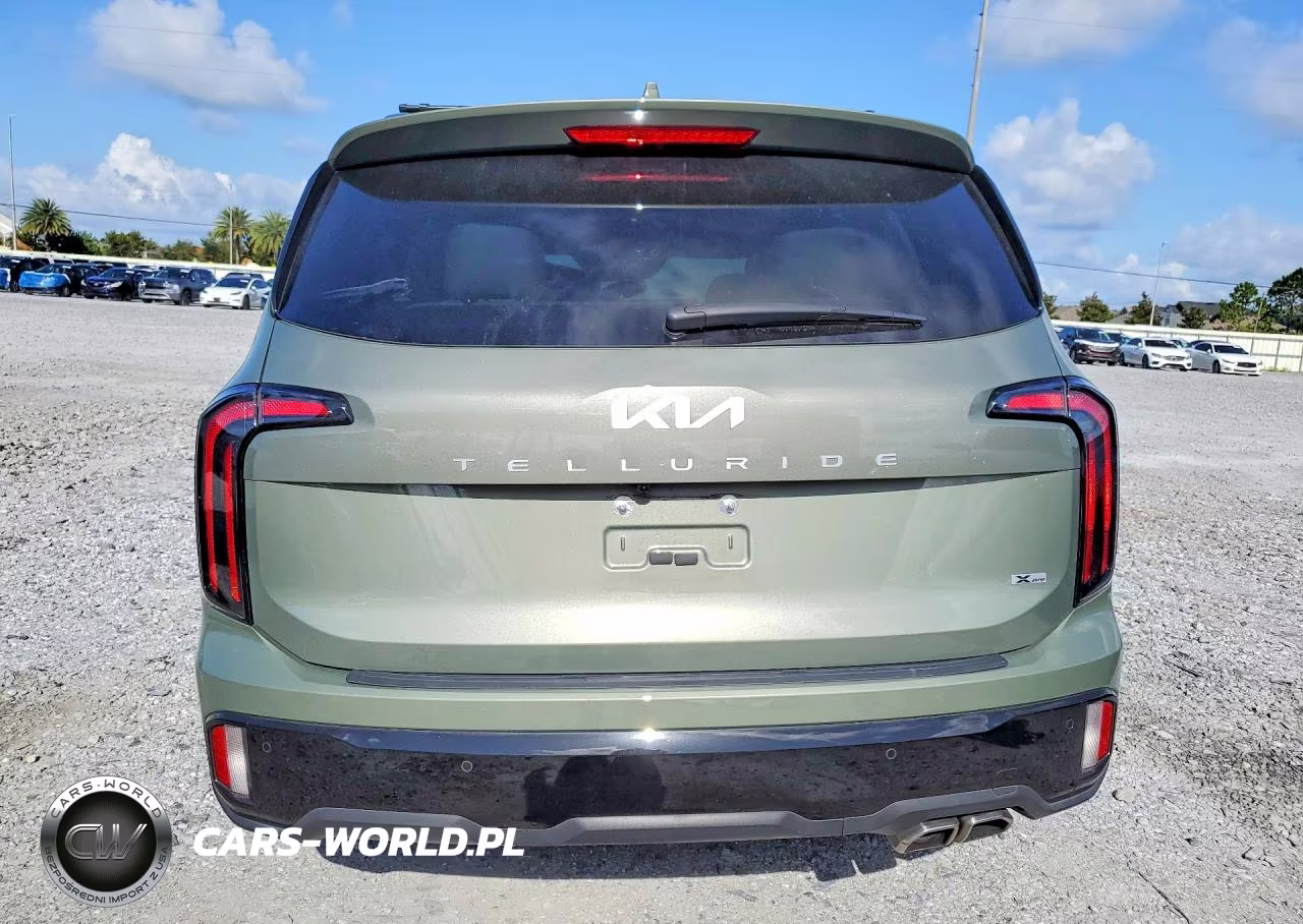 2024 Kia Telluride Sx X-Pro VIN:5XYP5DGC8RG433130 - 6