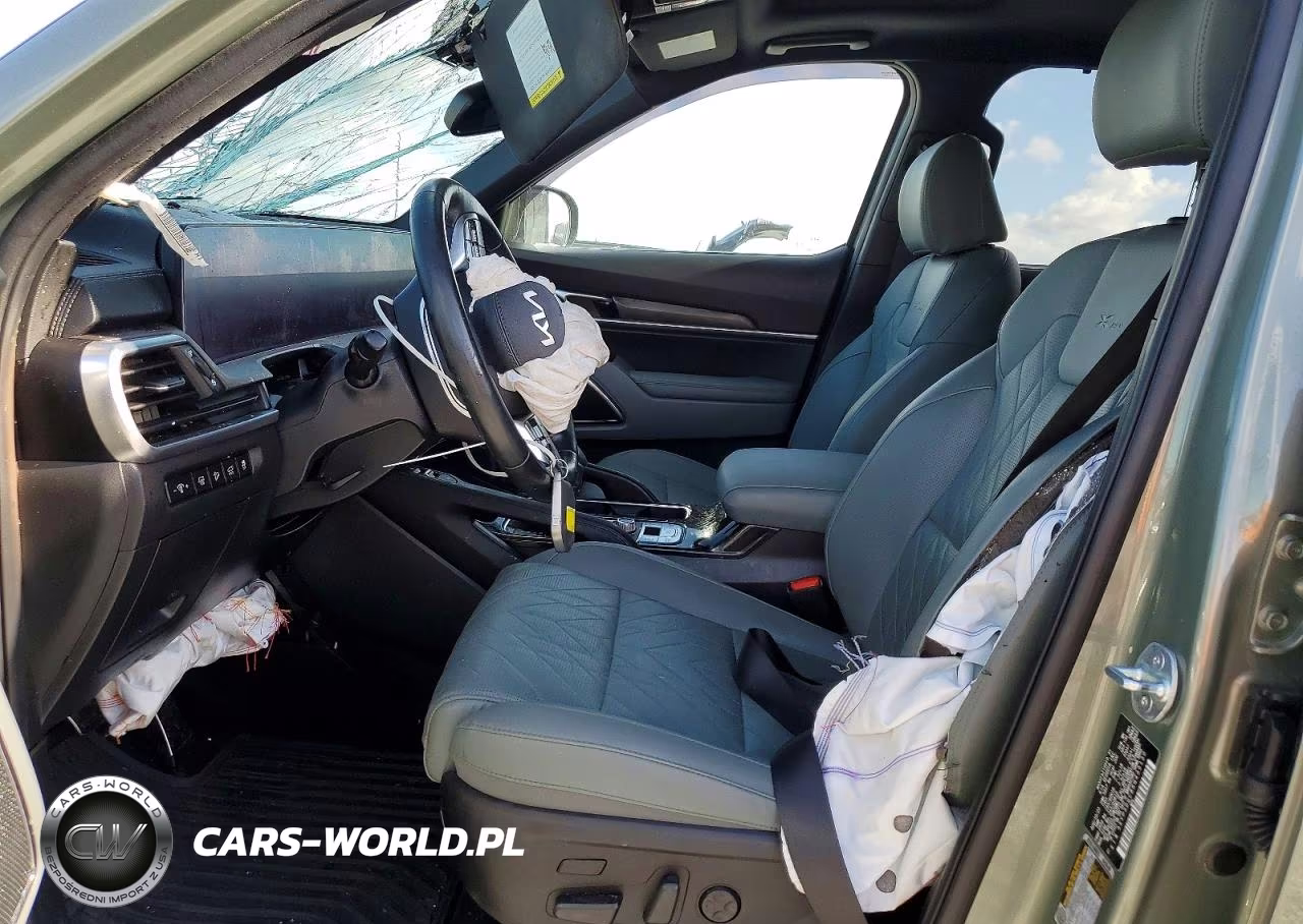 2024 Kia Telluride Sx X-Pro VIN:5XYP5DGC8RG433130 - 7