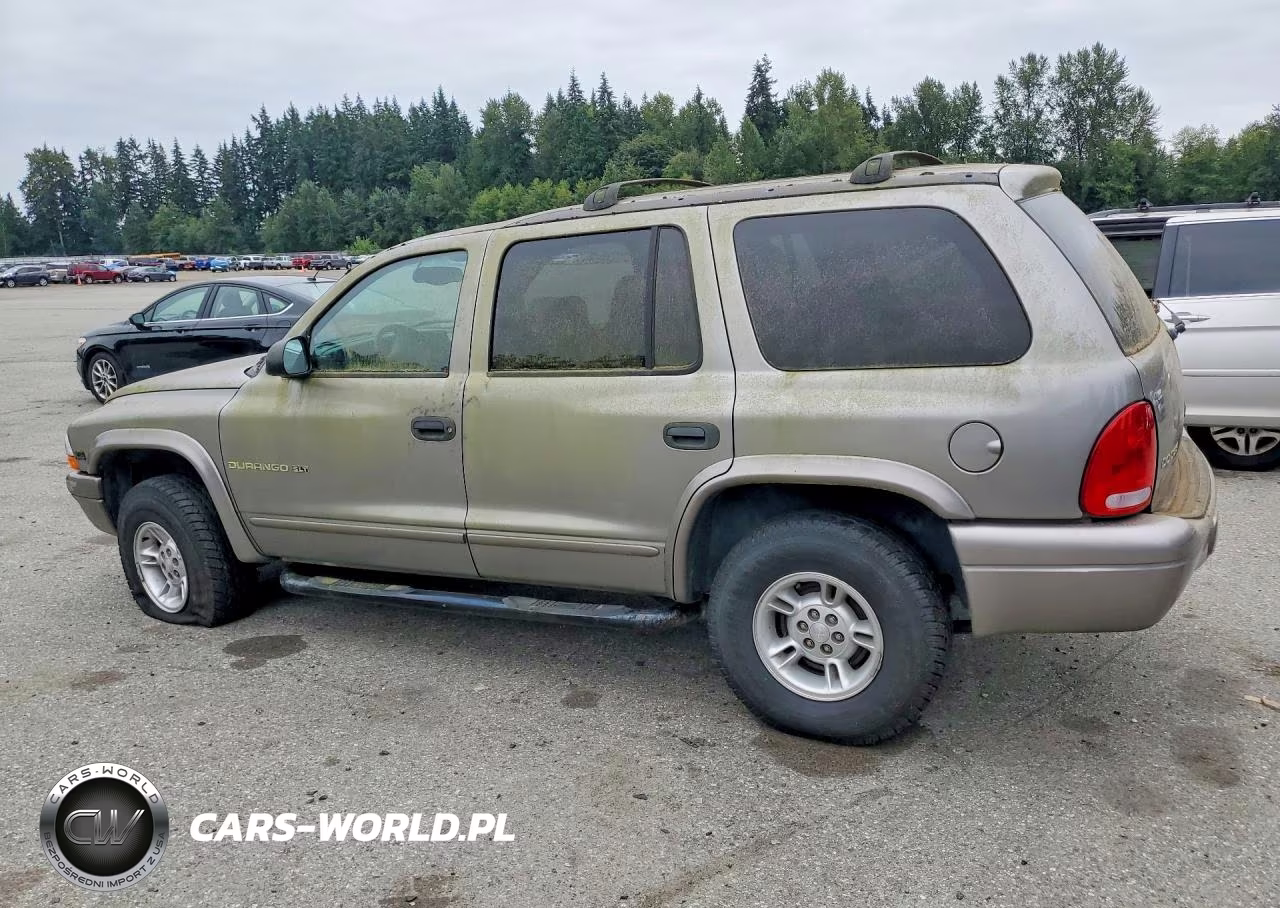 2000 Dodge Durango VIN:1B4HS28NXYF211513 - 2