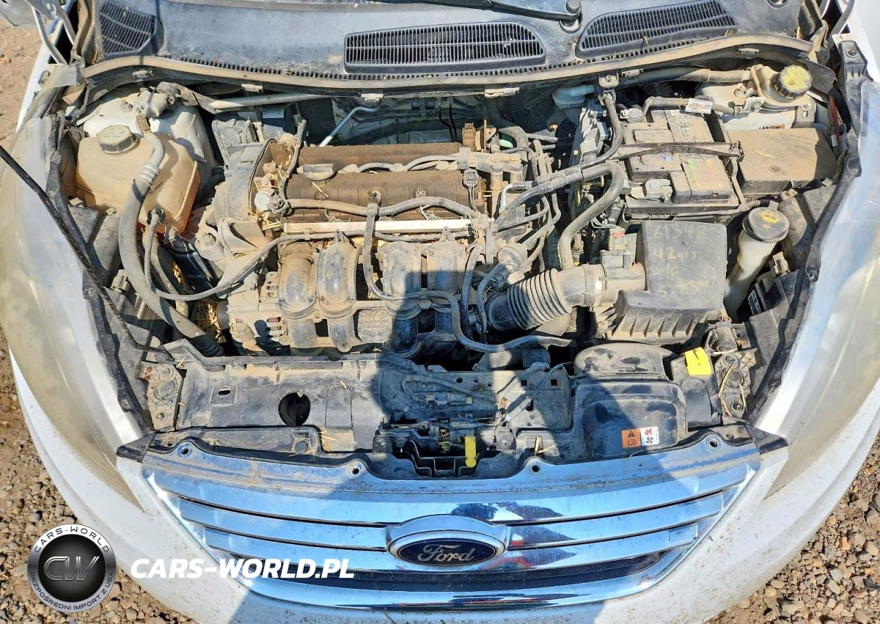 2013 Ford Fiesta Se VIN:3FADP4BJ7DM141442 - 11