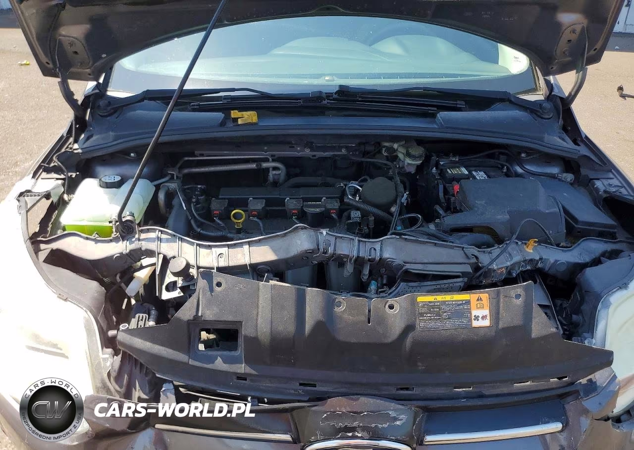2013 Ford Focus Se VIN:1FADP3F29DL371997 - 11