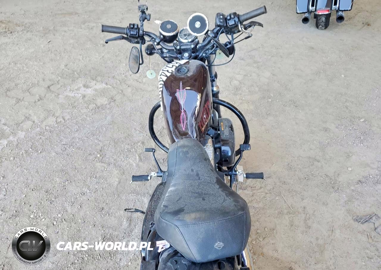 2014 Harley-Davidson Xl1200 Forty-Eight VIN:1HD1LC316EC442903 - 6
