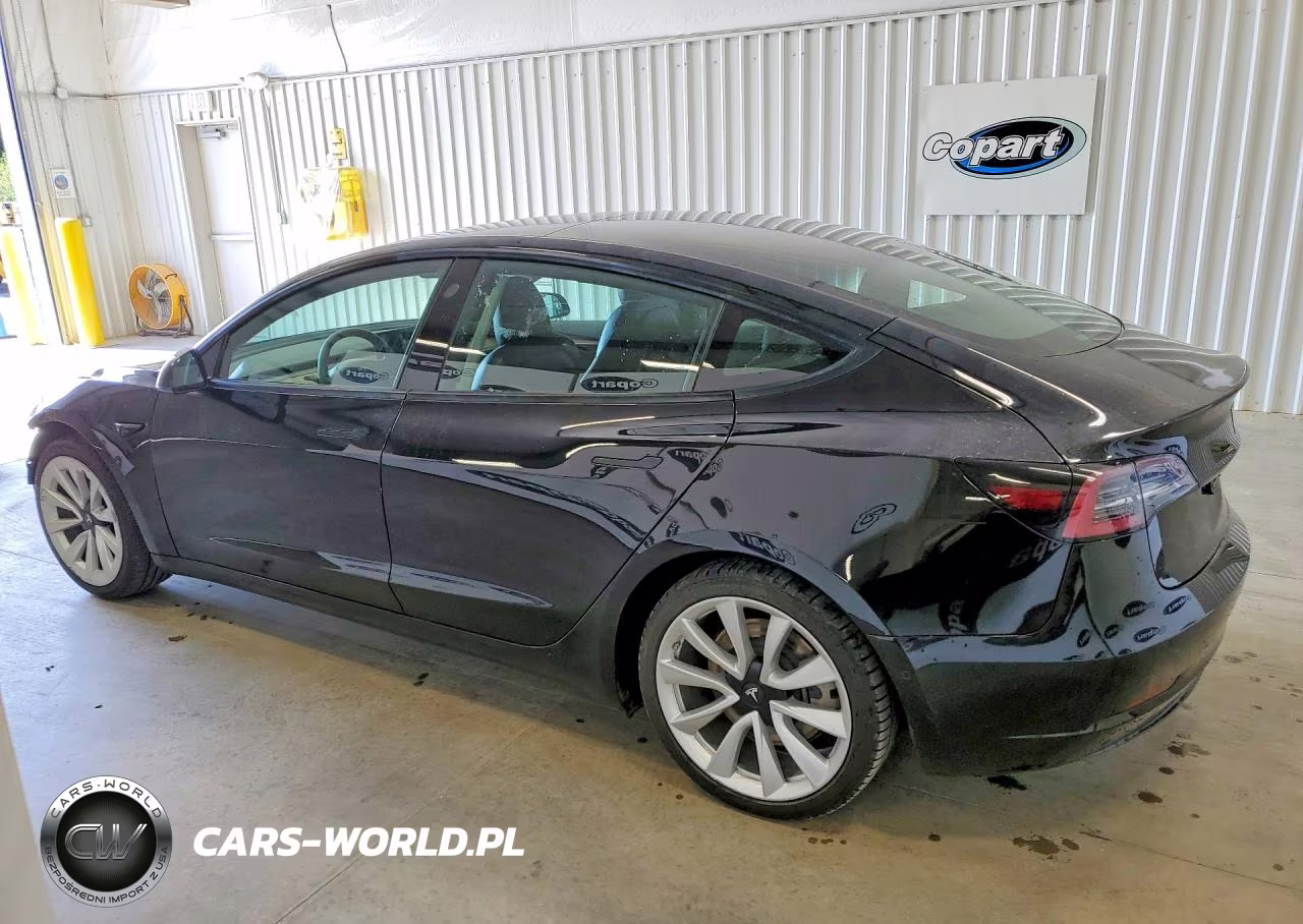 2022 Tesla Model 3 VIN:5YJ3E1EA0NF286124 - 2