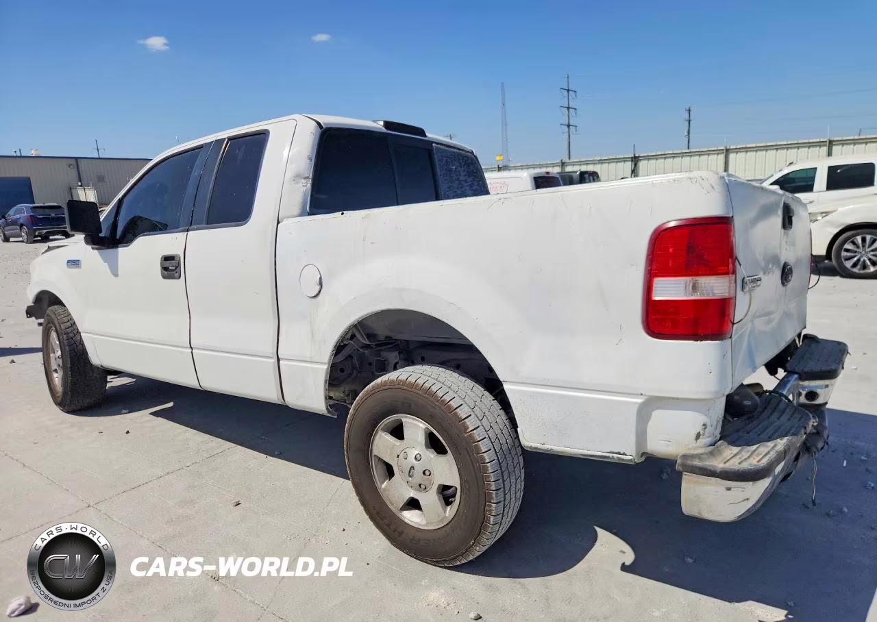 2005 Ford F150 VIN:1FTRX12W95FA31133 - 2