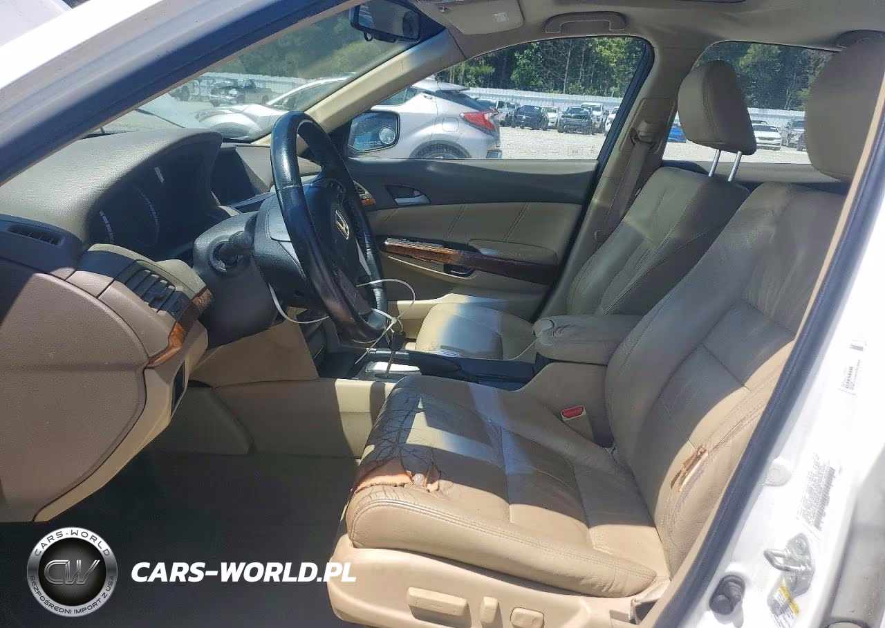 2010 Honda Accord Exl VIN:5KBCP3F85AB015668 - 7
