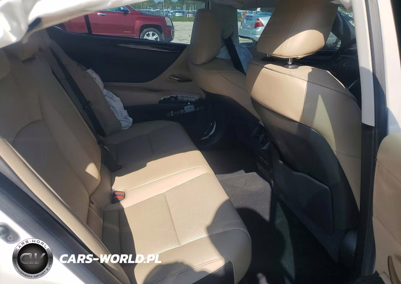 2021 Lexus Es 250 Base VIN:58AD11D1XMU004079 - 10