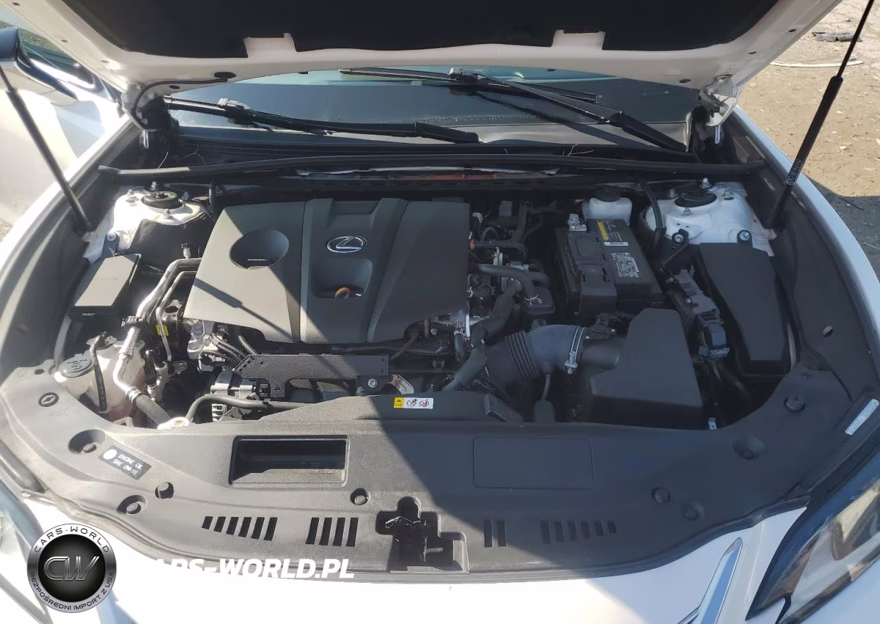 2021 Lexus Es 250 Base VIN:58AD11D1XMU004079 - 11