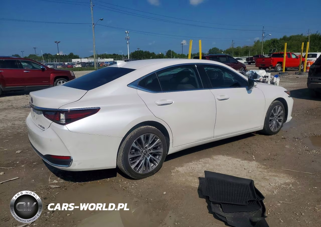2021 Lexus Es 250 Base VIN:58AD11D1XMU004079 - 3