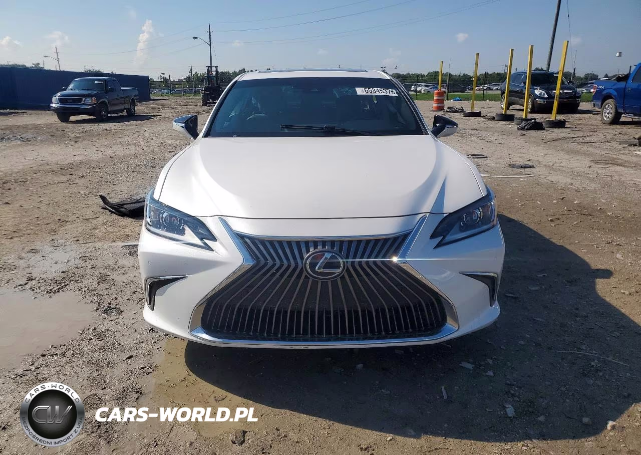 2021 Lexus Es 250 Base VIN:58AD11D1XMU004079 - 5