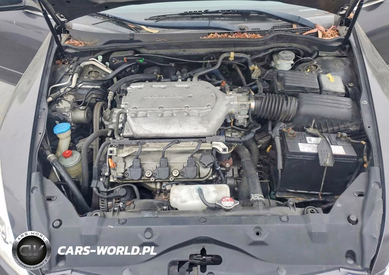2007 Honda Accord Ex VIN:1HGCM66587A017027 - 11