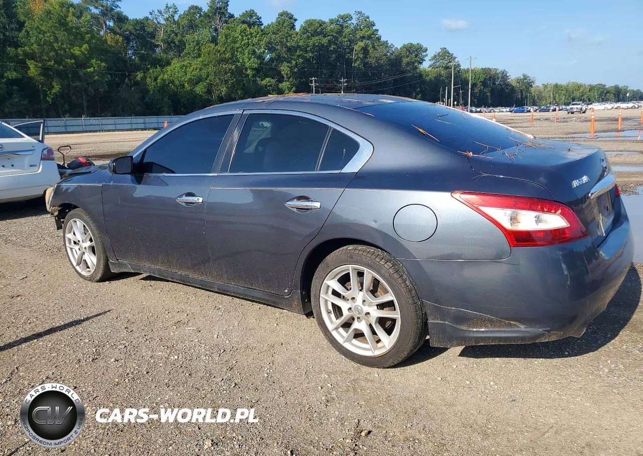 2009 Nissan Maxima 3.5 S VIN:1N4AA51E59C841631 - 2