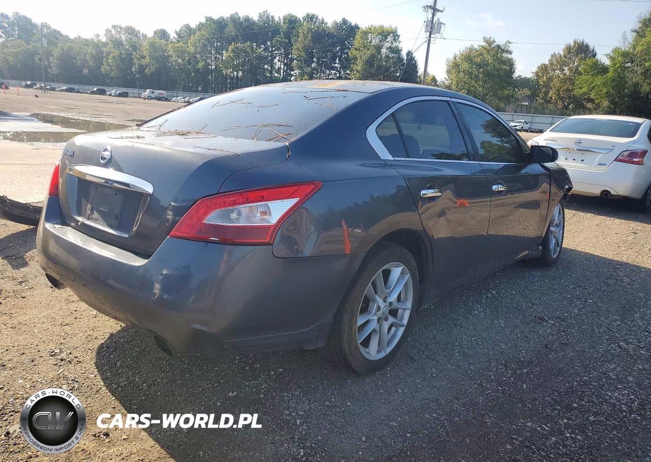 2009 Nissan Maxima 3.5 S VIN:1N4AA51E59C841631 - 3