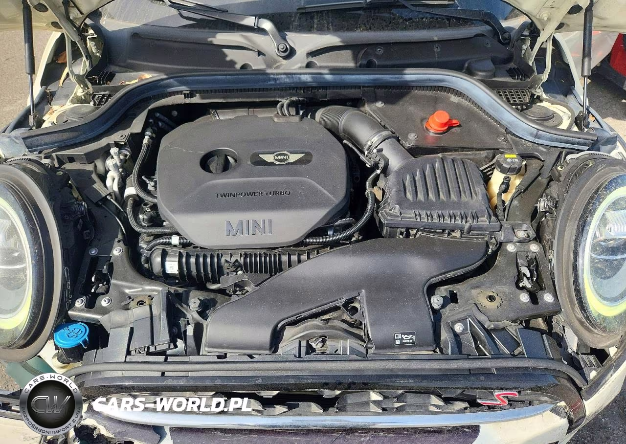 2019 Mini Cooper S VIN:WMWXP7C52K2A54448 - 11