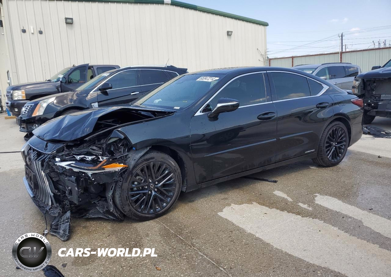 2019 Lexus Es 300H Luxury