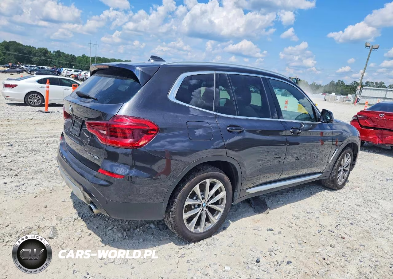 2019 BMW X3 Sdrive30I VIN:5UXTR7C58KLR52361 - 3
