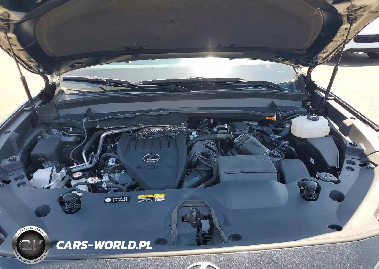2024 Lexus Tx 500H F Sport Performance Premium VIN:5TDABAB69RS004015 - 12
