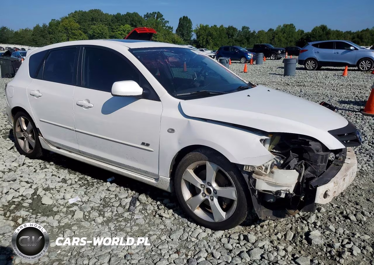2006 Mazda 3 Hatchback VIN:JM1BK343461465957 - 4