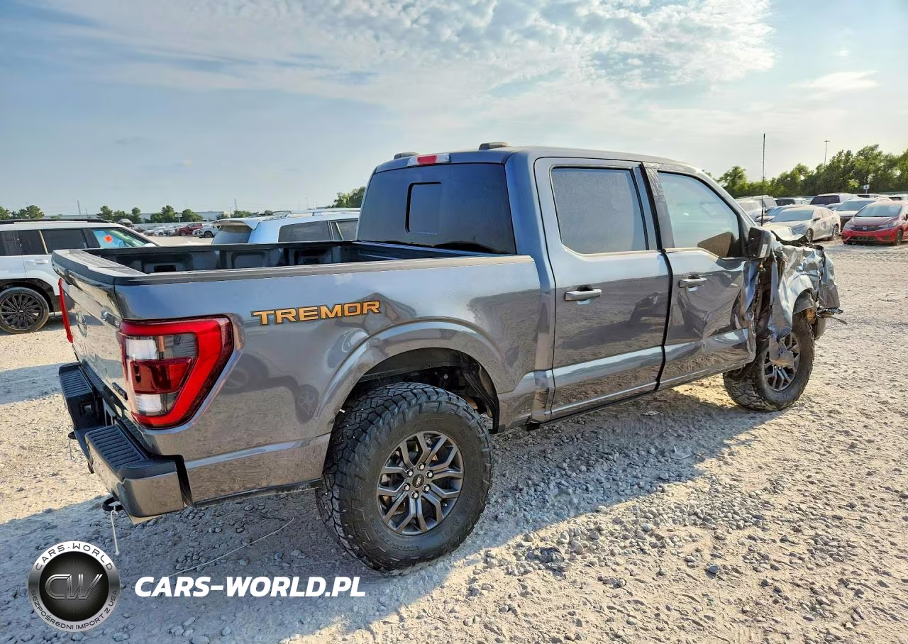 2023 Ford F150 Supercrew VIN:1FTEW1E83PFC59677 - 3
