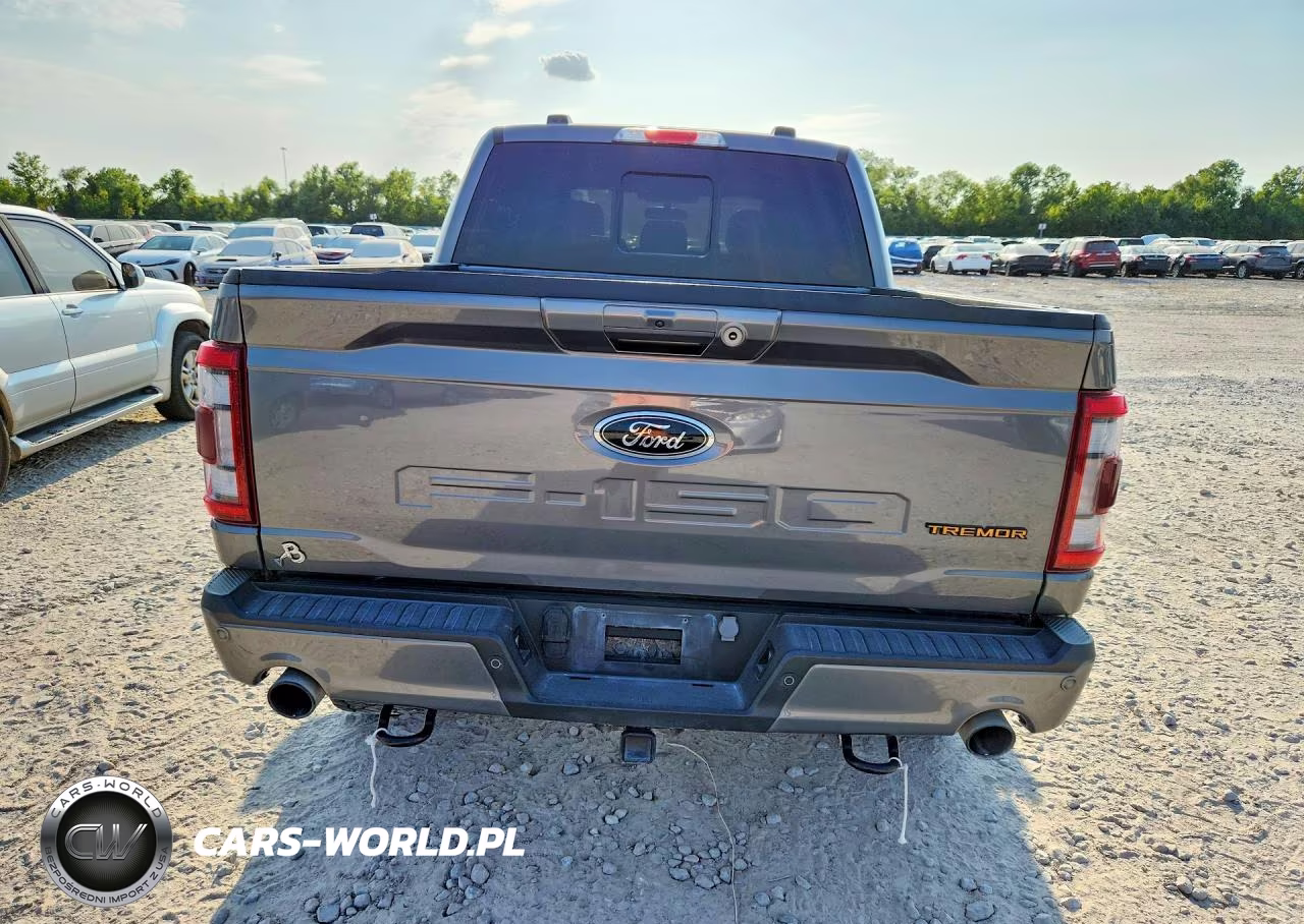 2023 Ford F150 Supercrew VIN:1FTEW1E83PFC59677 - 6