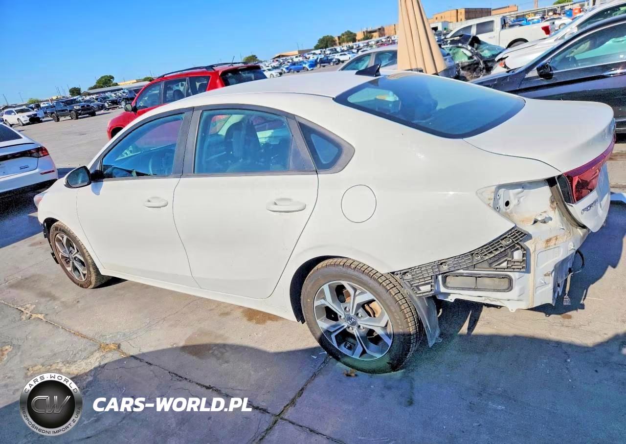 2019 Kia Forte Lxs VIN:3KPF24ADXKE035913 - 2