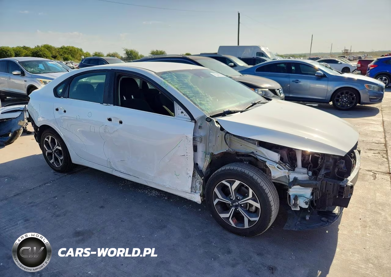 2019 Kia Forte Lxs VIN:3KPF24ADXKE035913 - 4