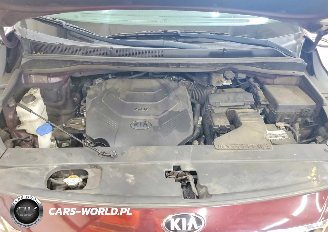 2019 Kia Sedona Ex VIN:KNDMC5C18K6549715 - 12
