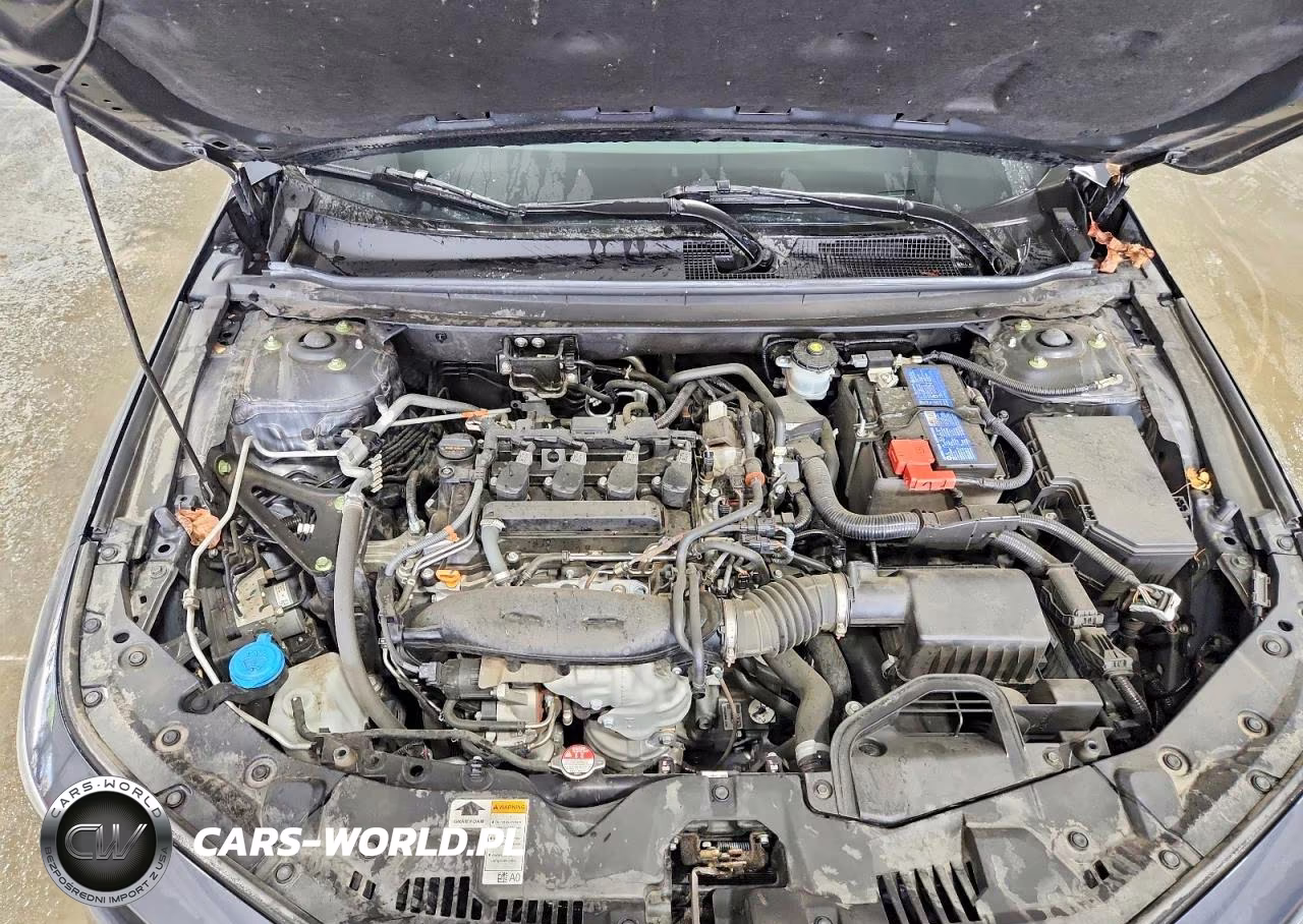 2023 Honda Accord Ex VIN:1HGCY1F30PA015035 - 11