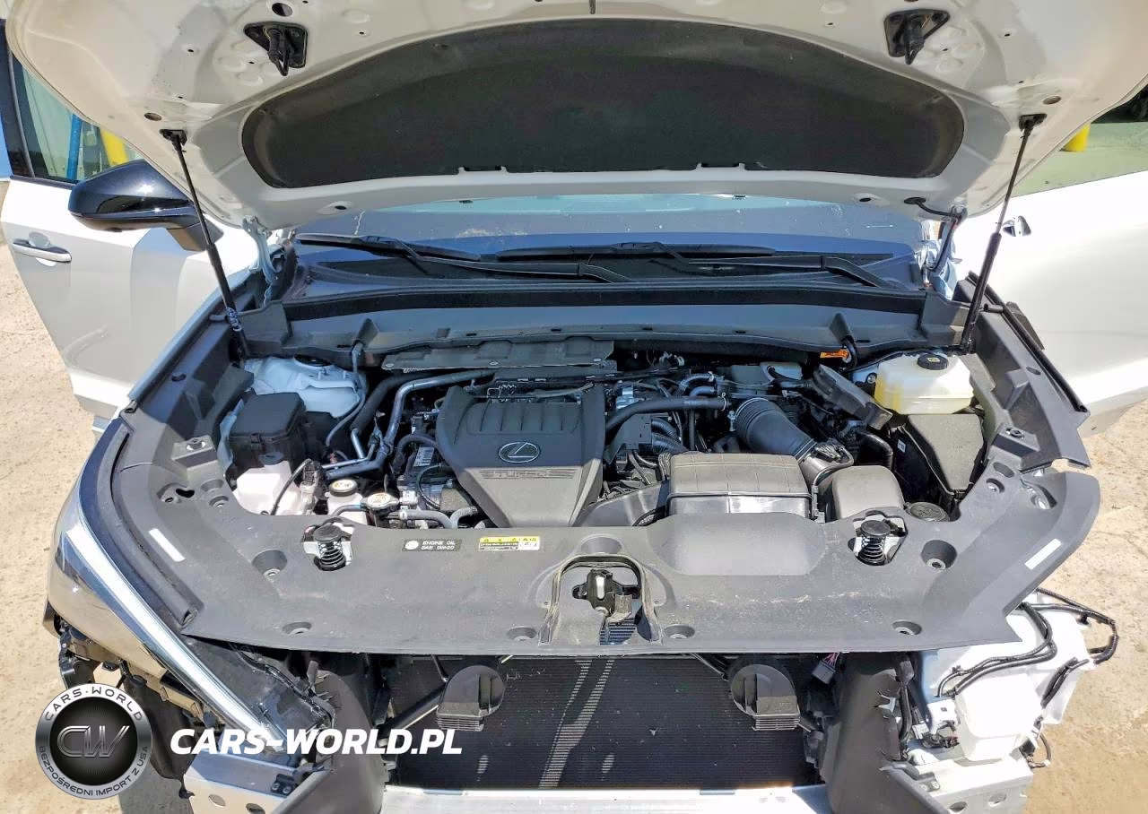 2025 Lexus Tx 500H F Sport Performance Premium VIN:5TDABAB69SS014534 - 12