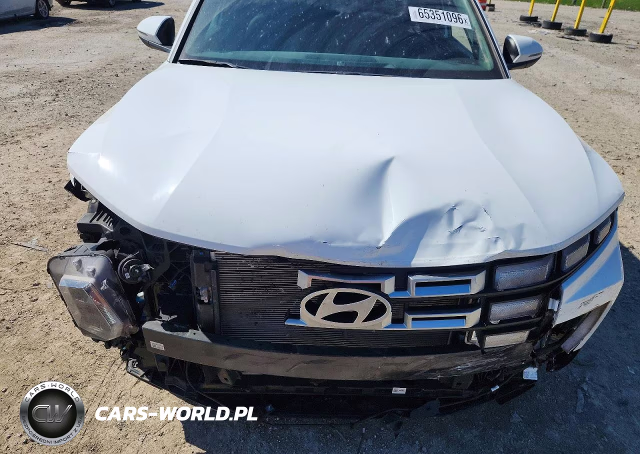 2025 Hyundai Santa Cruz Sel Activity VIN:5NTJCDDE6SH137153 - 11