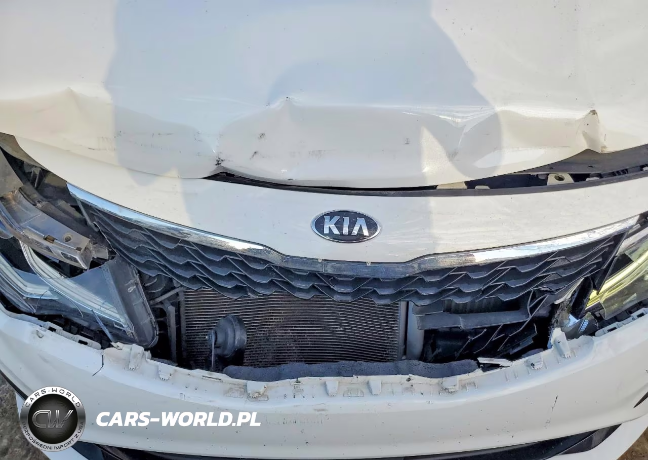 2019 Kia Optima Ex VIN:5XXGU4L17KG303650 - 11