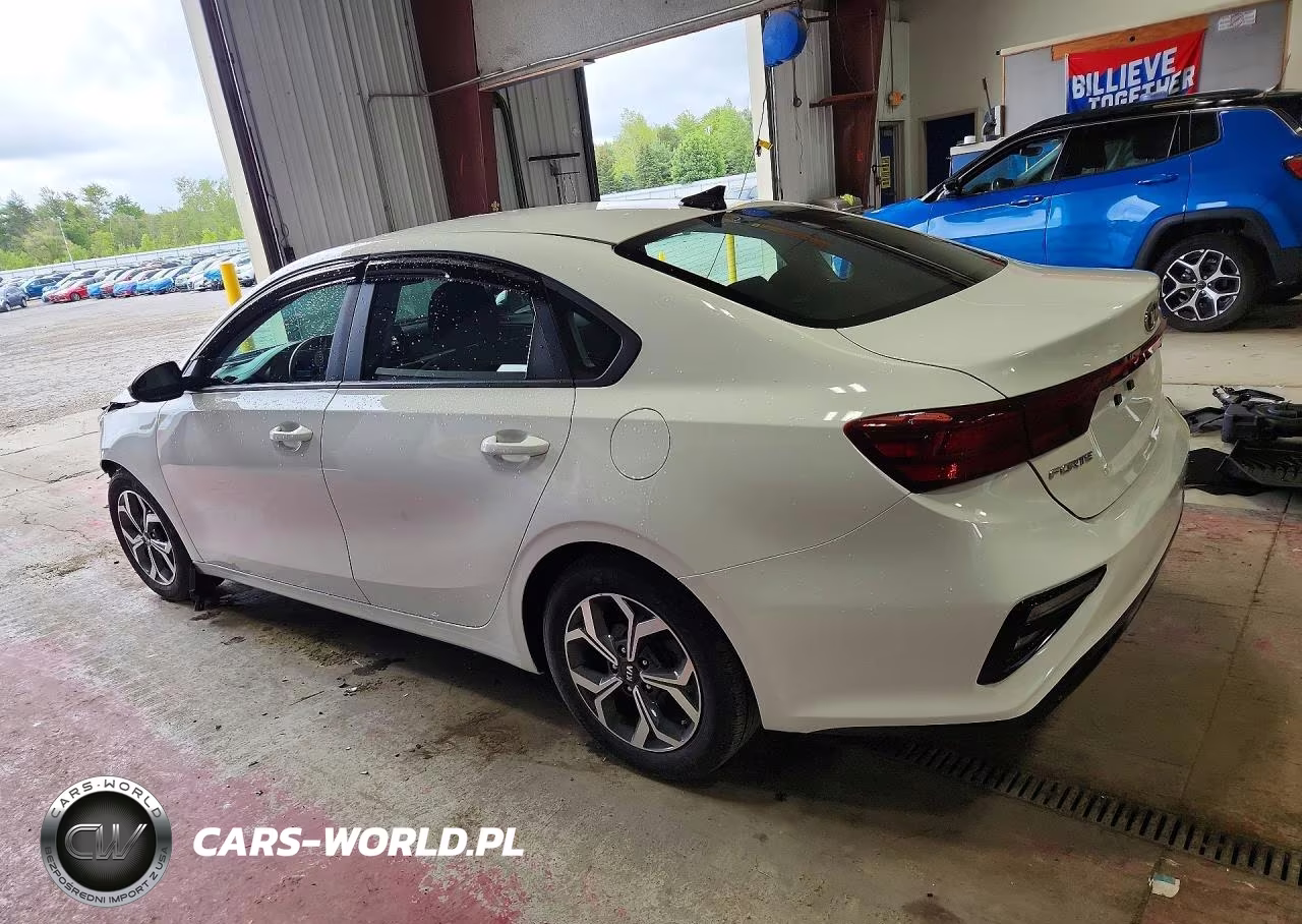 2020 Kia Forte Lxs VIN:3KPF24AD4LE191950 - 2