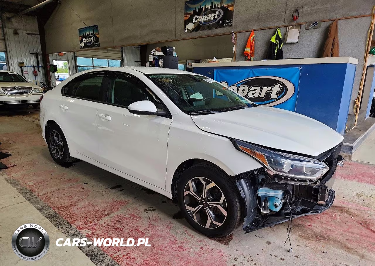 2020 Kia Forte Lxs VIN:3KPF24AD4LE191950 - 4