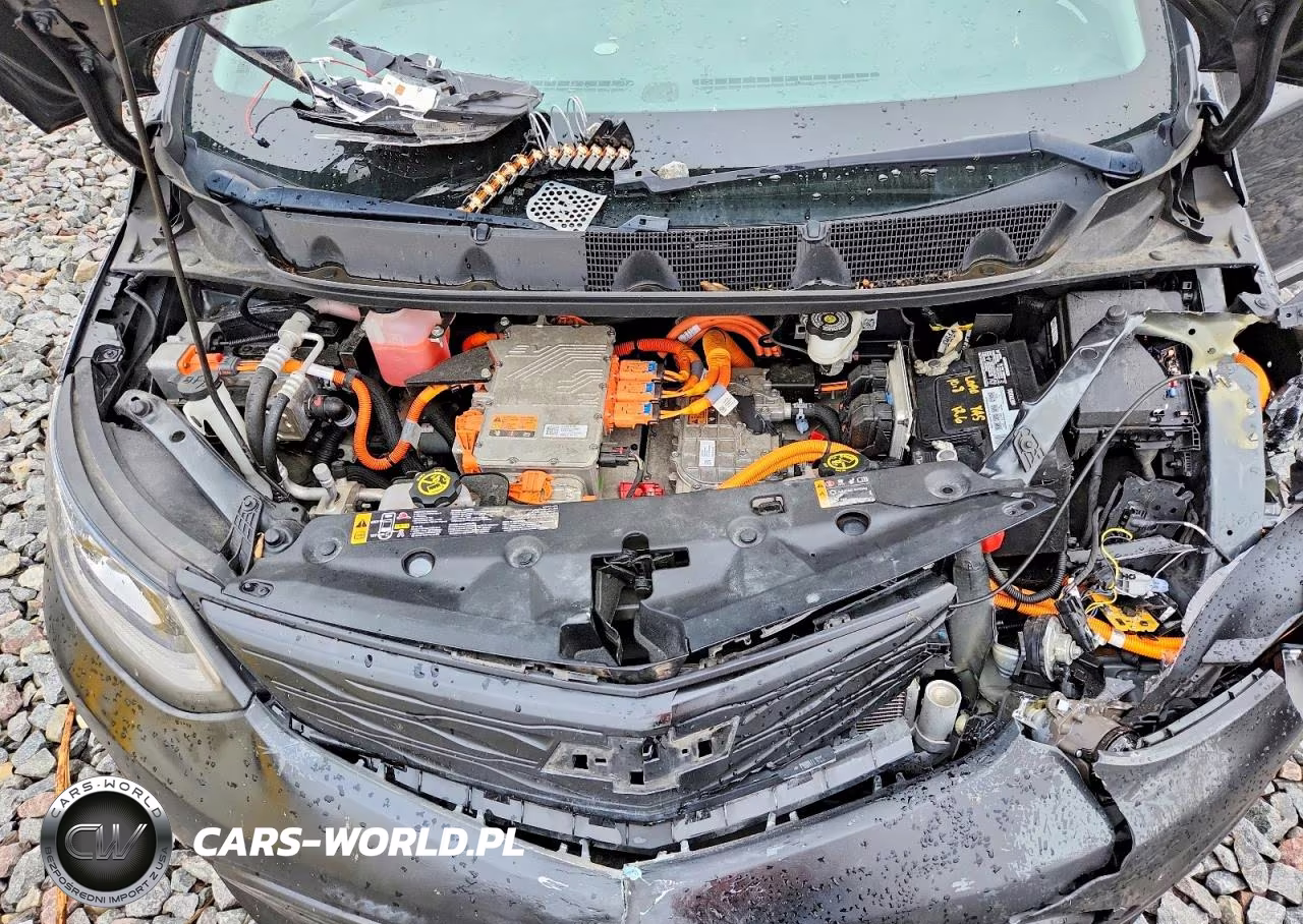 2021 Chevrolet Bolt Ev Lt VIN:1G1FY6S03M4102824 - 11