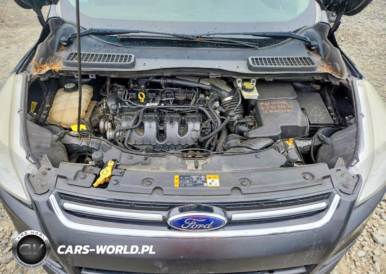 2013 Ford Escape Sel VIN:1FMCU9H93DUA23453 - 12