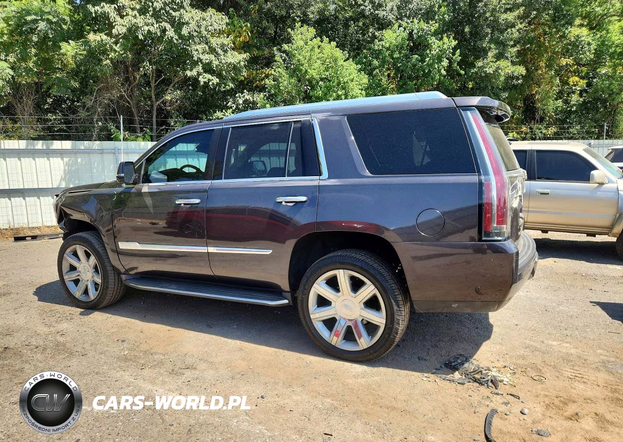 2016 Cadillac Escalade Luxury VIN:1GYS3BKJ3GR369260 - 2