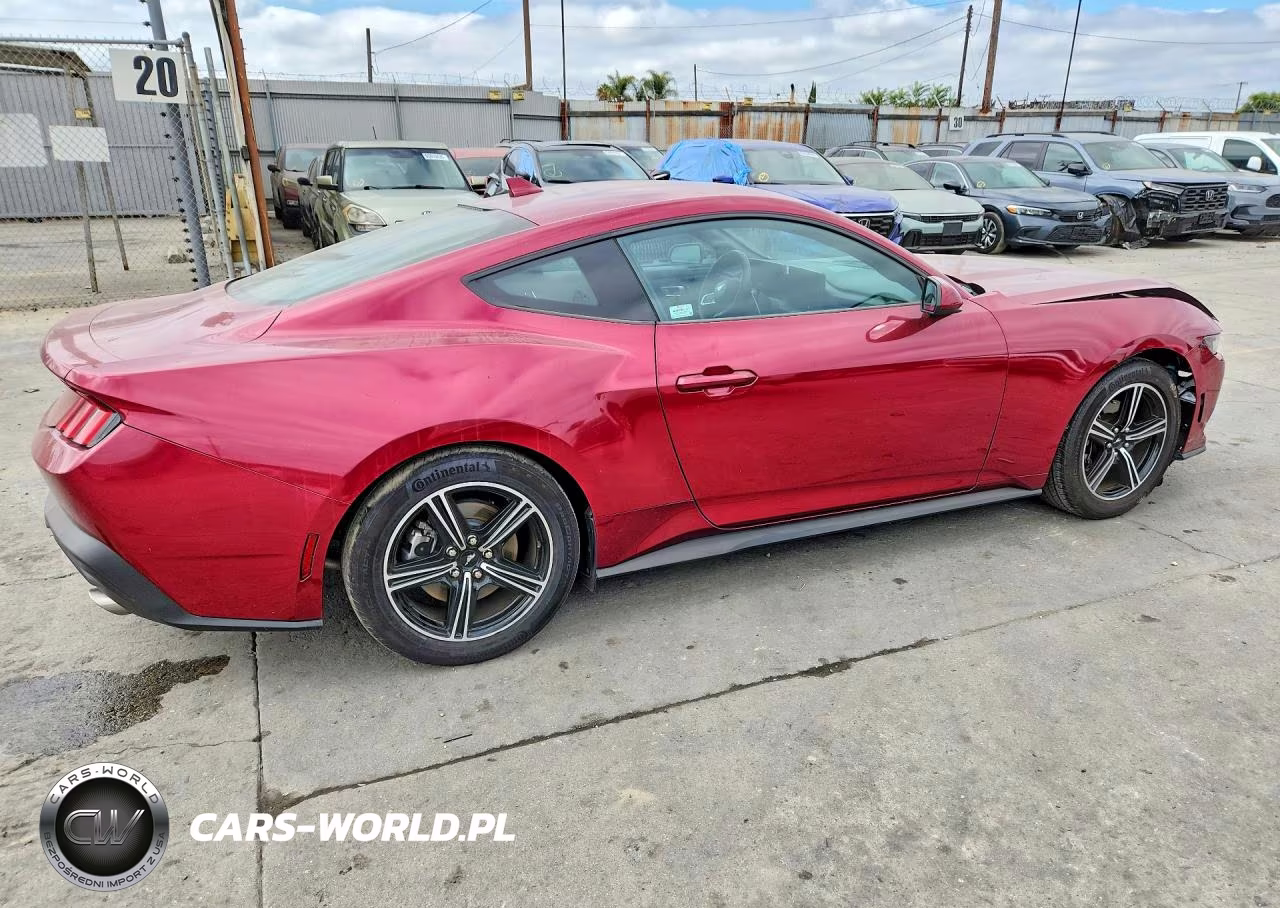 2025 Ford Mustang VIN:1FA6P8TH4S5104489 - 3