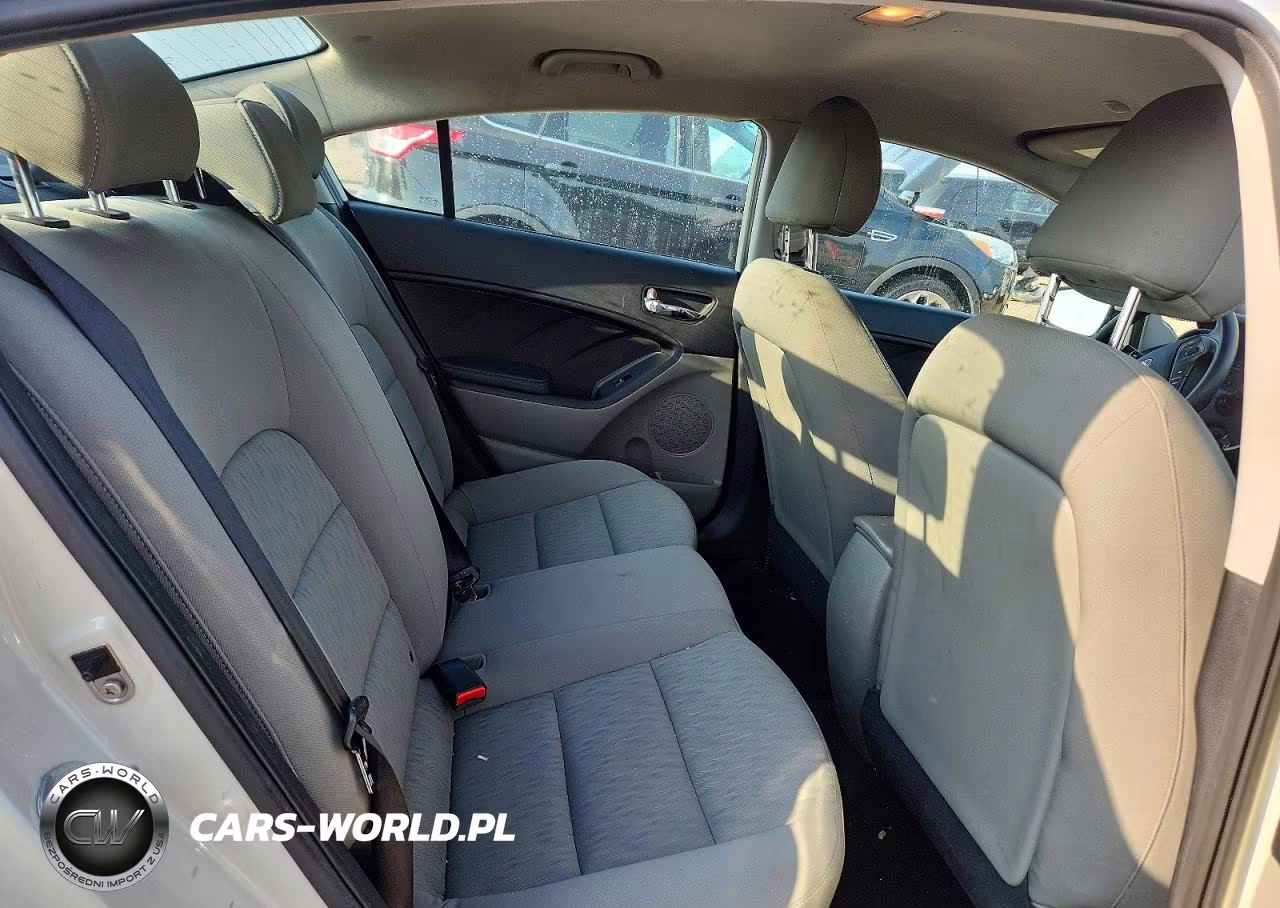 2015 Kia Forte Lx VIN:KNAFK4A6XF5372615 - 10