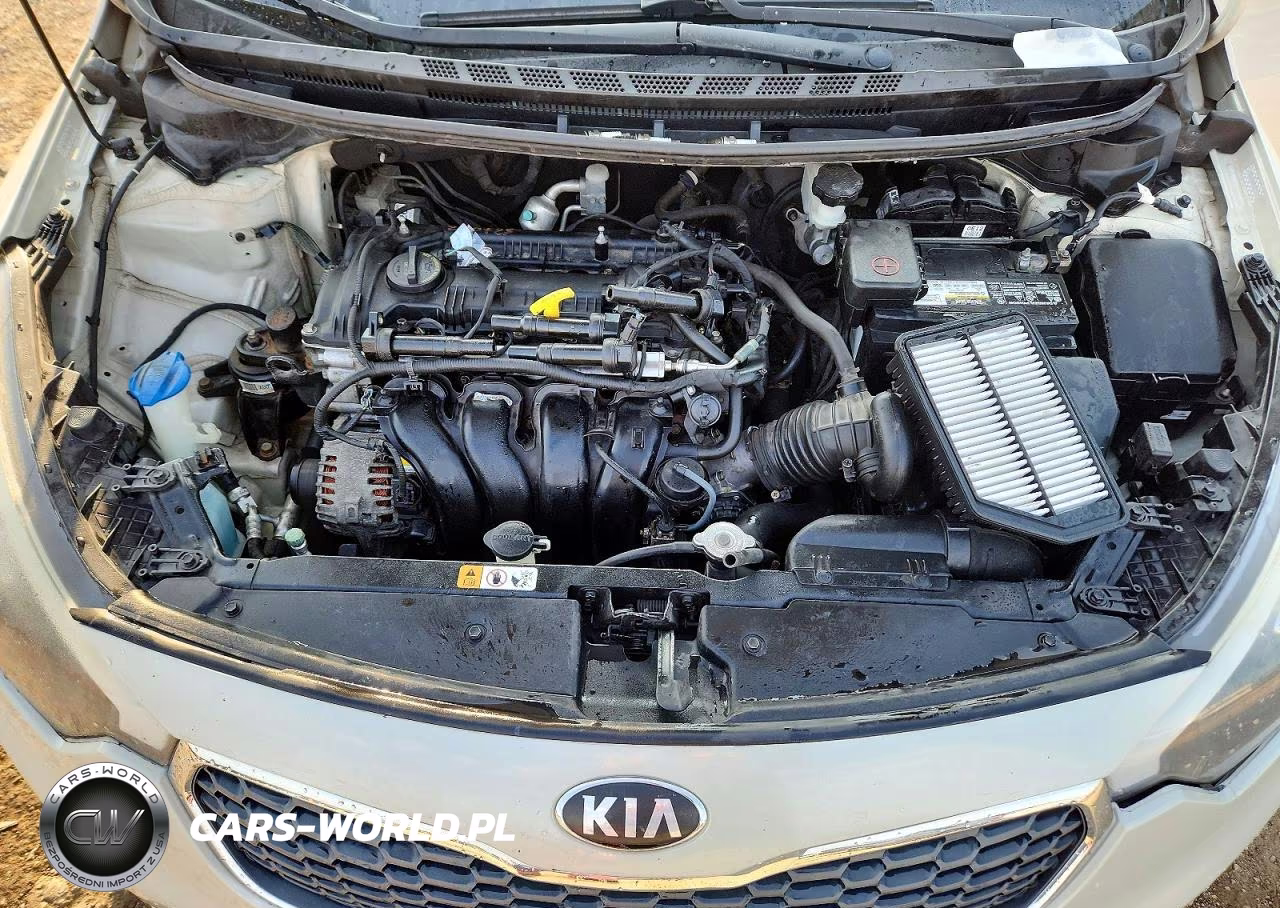 2015 Kia Forte Lx VIN:KNAFK4A6XF5372615 - 11