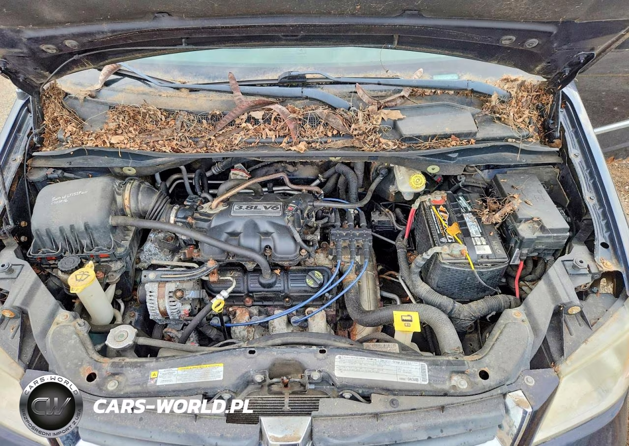 2010 Dodge Grand Caravan Sxt VIN:2D4RN5D12AR264100 - 12