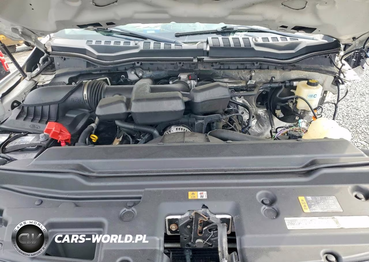 2019 Ford F250 VIN:1FT7X2B64KEF63226 - 11