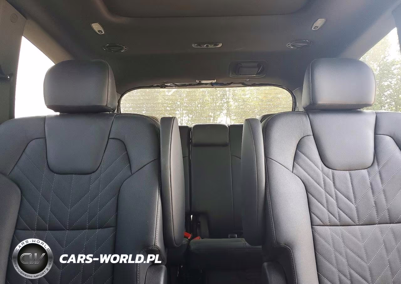 2024 Kia Telluride Sx X-Pro VIN:5XYP5DGC3RG449199 - 10