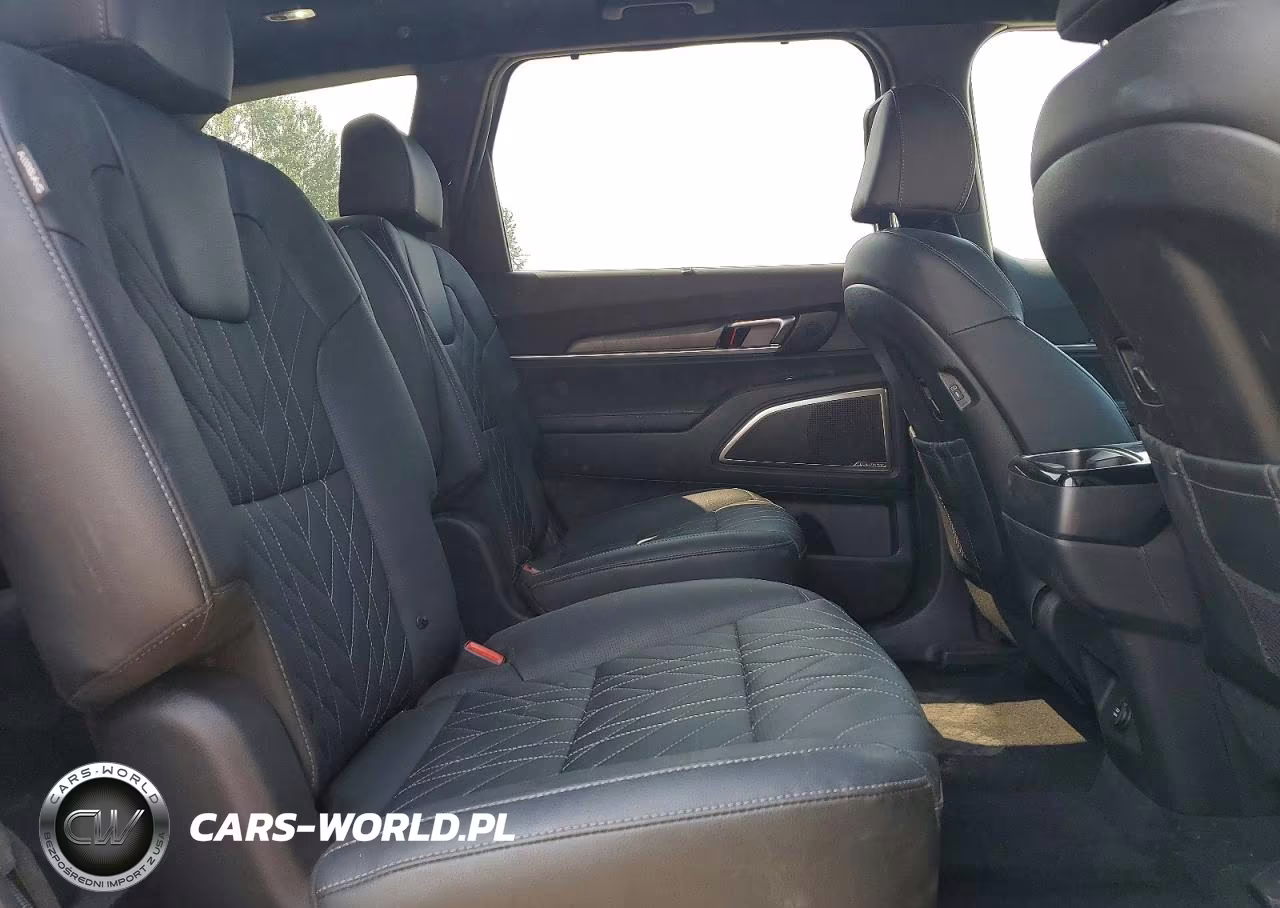 2024 Kia Telluride Sx X-Pro VIN:5XYP5DGC3RG449199 - 11