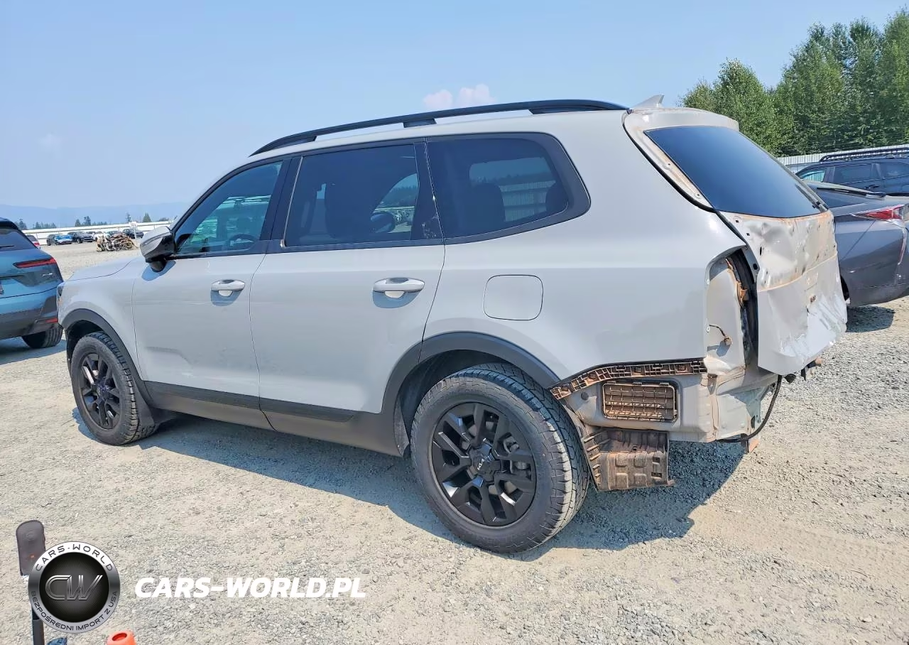 2024 Kia Telluride Sx X-Pro VIN:5XYP5DGC3RG449199 - 2
