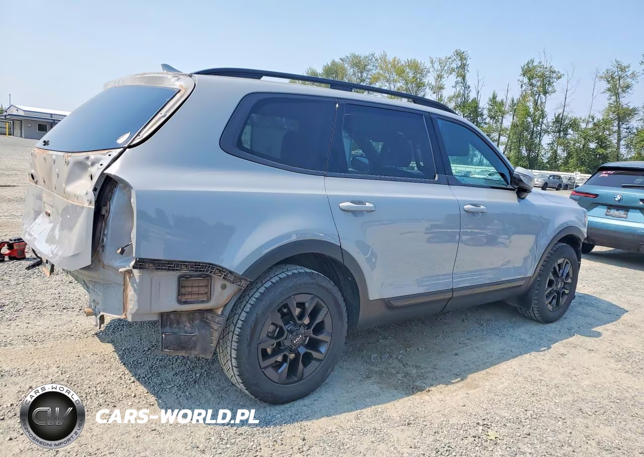 2024 Kia Telluride Sx X-Pro VIN:5XYP5DGC3RG449199 - 3