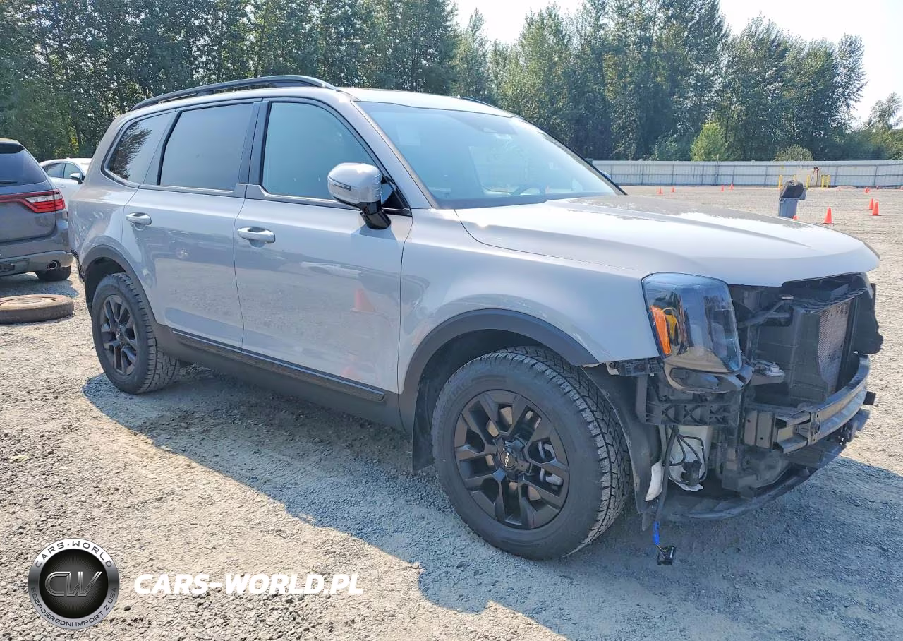 2024 Kia Telluride Sx X-Pro VIN:5XYP5DGC3RG449199 - 4