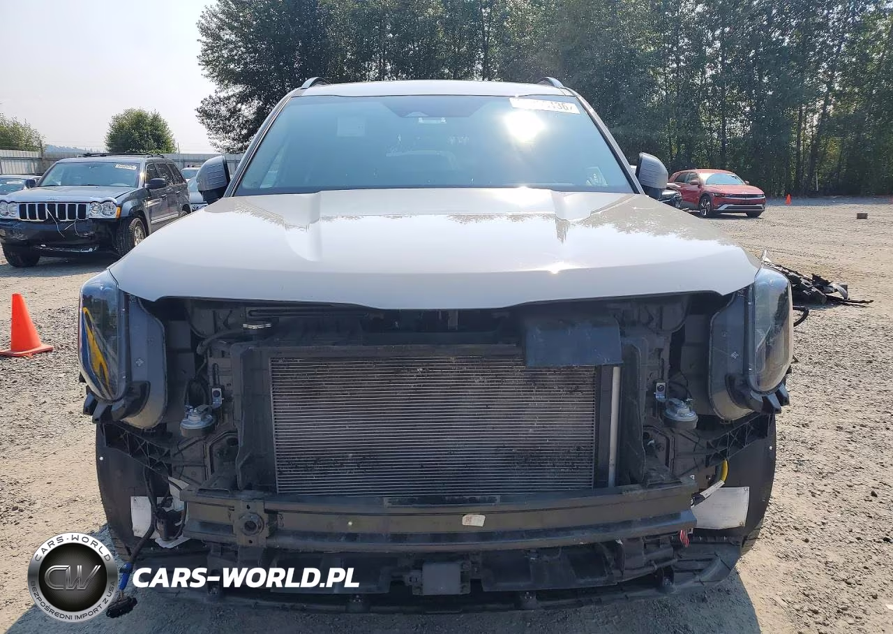 2024 Kia Telluride Sx X-Pro VIN:5XYP5DGC3RG449199 - 5